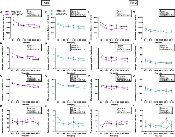 Central Histamine Boosts Perirhinal Cortex Activity and Restores