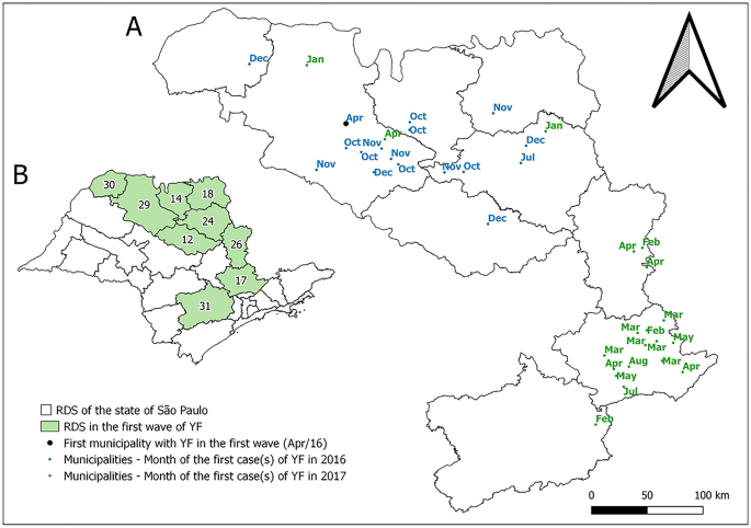 Origin of the São Paulo Yellow Fever epidemic of 2017–2018 revealed through  molecular epidemiological analysis of fatal cases