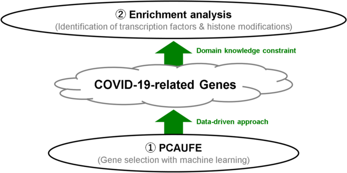 PCA-based unsupervised feature...