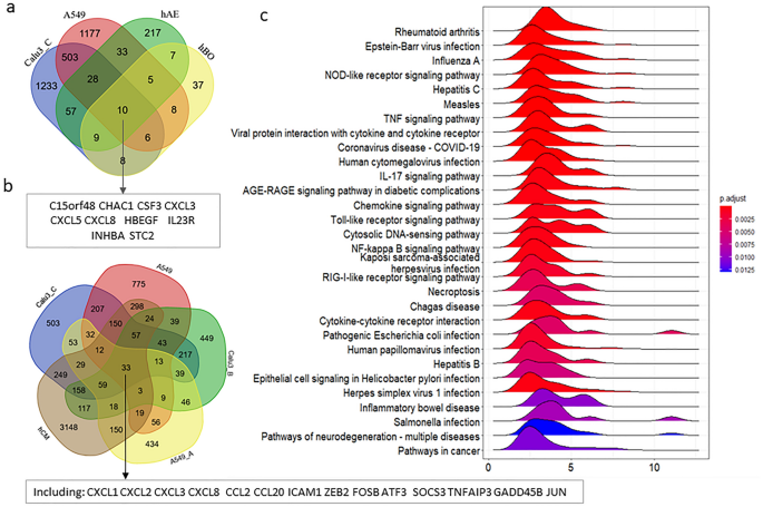 The heatmap of RVA or RVC infection compared with control. (A) The