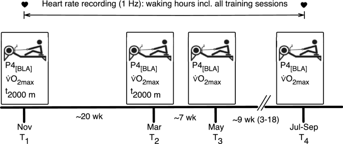 The Integration Of Training And Off Training Activities Substantially Alters Training Volume And Load Analysis In Elite Rowers Scientific Reports