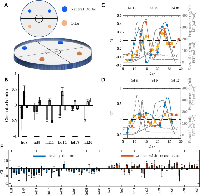 https://media.springernature.com/m685/springer-static/image/art%3A10.1038%2Fs41598-021-96613-z/MediaObjects/41598_2021_96613_Fig1_HTML.png