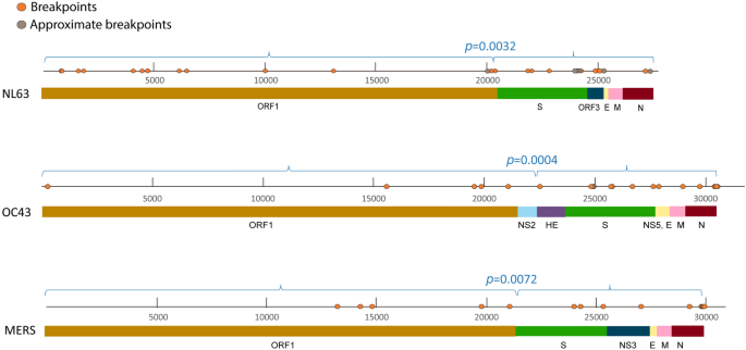 A comparative recombination an...
