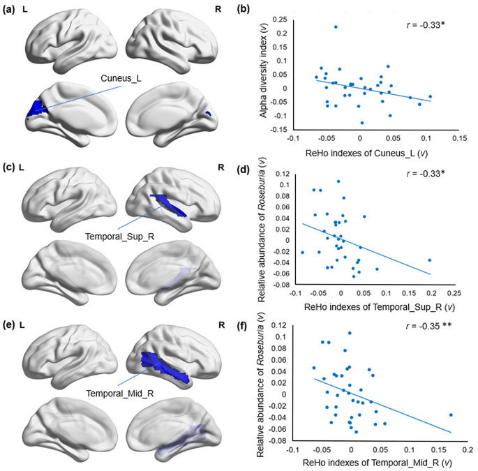 Author Correction The Gut Microbiome Is Associated With Brain Structure And Function In Schizophrenia Scientific Reports