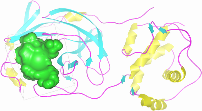 C60 fullerene against SARS-CoV...