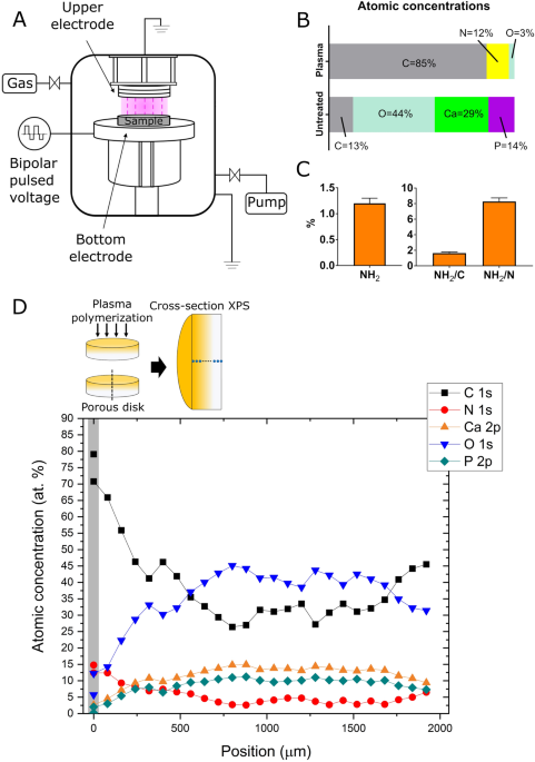 Amine modification of calcium phosphate by low-pressure plasma for bone regeneration