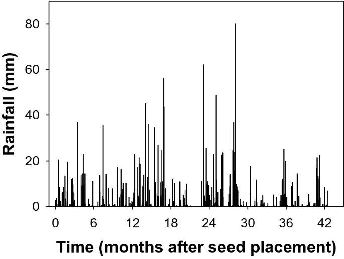 Seedbank Persistence And Emergence Pattern Of Argemone Mexicana Rapistrum Rugosum And Sonchus Oleraceus In The Eastern Grain Region Of Australia Scientific Reports Seedbank Persistence And Emergence Pattern Of Argemone Mexicana Rapistrum Rugosum And Sonchus Oleraceus In The Eastern Grain Region Of Australia Scientific Reports