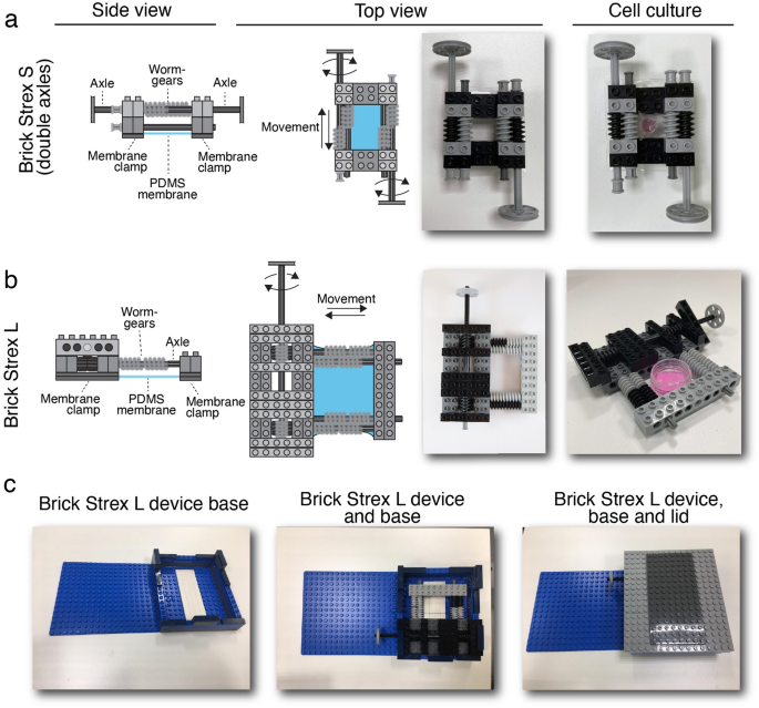 Brick Strex: a robust device built of LEGO bricks for mechanical  manipulation of cells | Scientific Reports