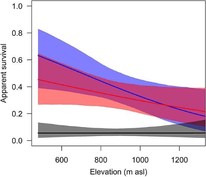 High Turn Over Rates At The Upper Range Limit And Elevational Source Sink Dynamics In A Widespread Songbird Scientific Reports High Turn Over Rates At The Upper Range Limit And Elevational Source Sink Dynamics In A Widespread Songbird Scientific Reports