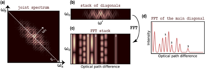 Artefact Removal Algorithms For Fourier Domain Quantum Optical Coherence Tomography Scientific Reports Artefact Removal Algorithms For Fourier Domain Quantum Optical Coherence Tomography Scientific Reports
