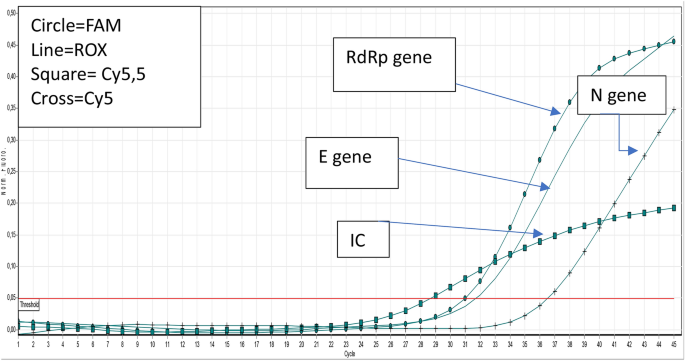 a new qualitative rt pcr assay detecting sars cov 2 scientific reports