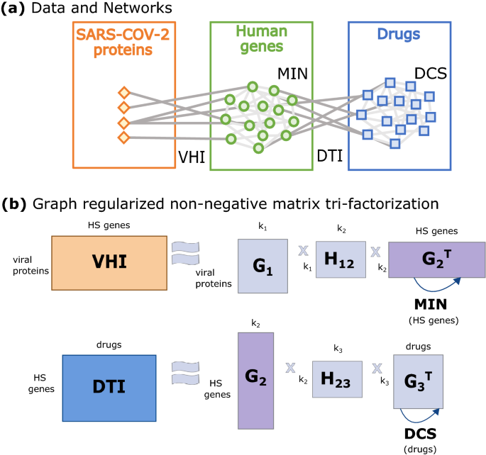 Network neighbors of viral tar...