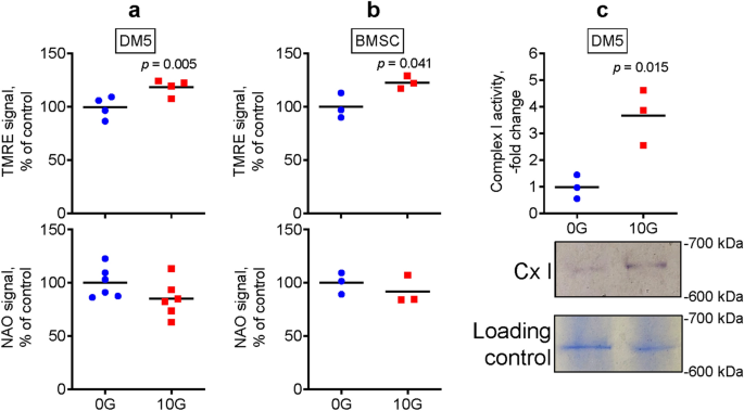 Efficacy of bone stimulators in large-animal models and humans may