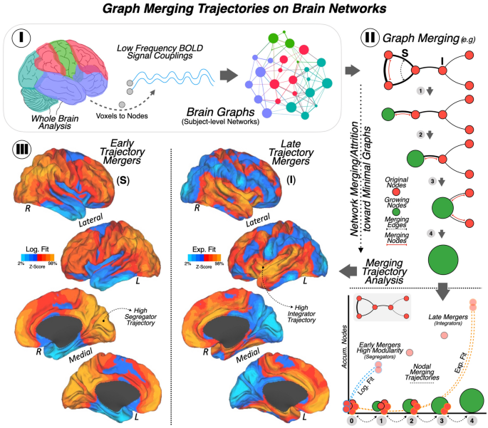 The test database of MR brain images and corresponding results for the