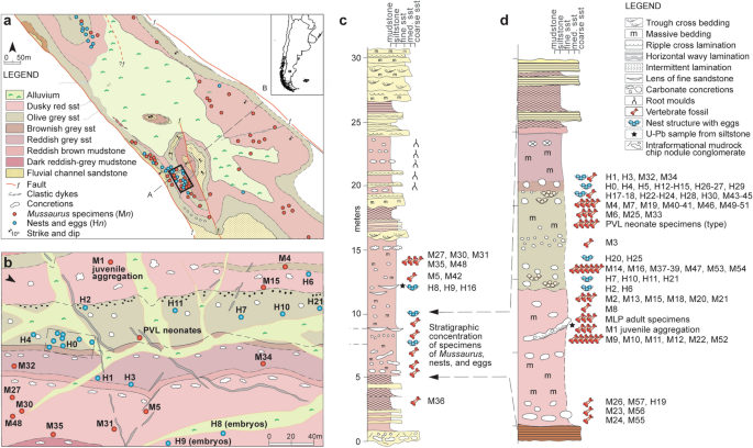 Earliest evidence of herd-living and age segregation amongst dinosaurs | Scientific Reports - Nature.com