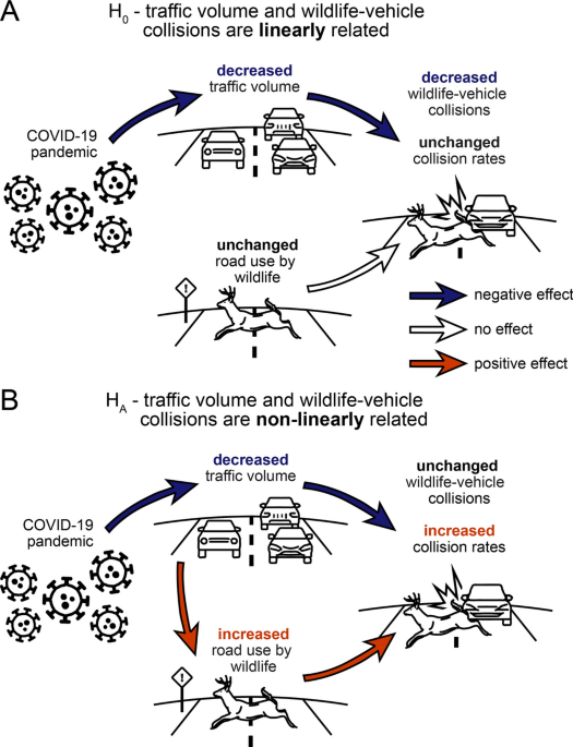 Research finds increase in car crashes with decrease in traffic during  pandemic - Eastern