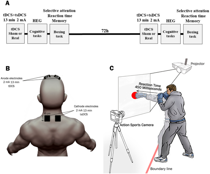 https://media.springernature.com/m685/springer-static/image/art%3A10.1038%2Fs41598-021-99285-x/MediaObjects/41598_2021_99285_Fig1_HTML.png