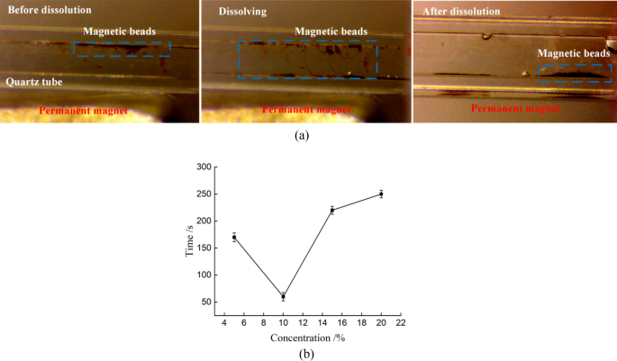 Magnetic Bead Technology Explained