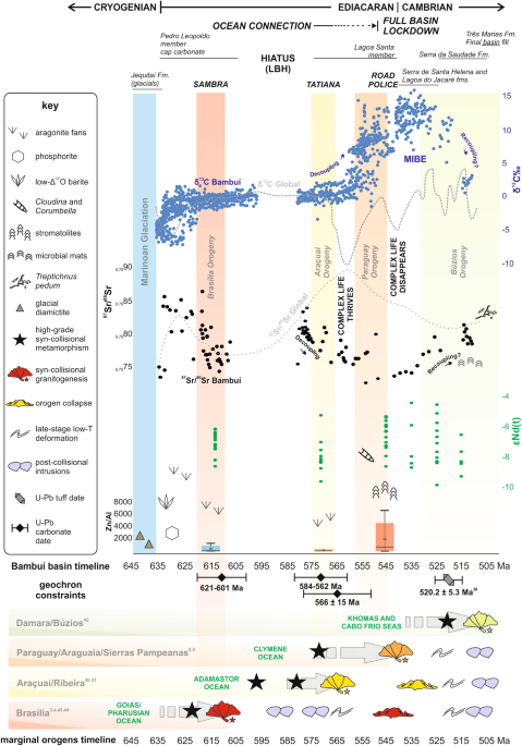 SIMPLE STRUCTURES AND COMPLEX STORIES: POTENTIAL MICROBIALLY INDUCED  SEDIMENTARY STRUCTURES IN THE EDIACARAN SERRA DE SANTA HELENA FORMATION,  BAMBUÍ GROUP, EASTERN BRAZIL