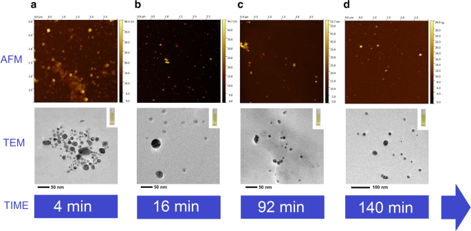 of treatment and storage time on the color values of MF and VF