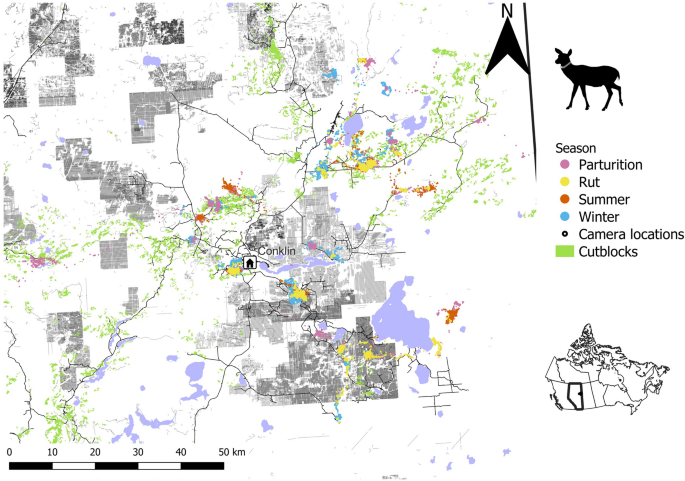 Virtual Hunting Study Tests How Easily Fallow Deer Could Be Seen