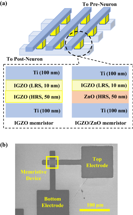 Zinc oxide and indium-gallium-zinc-oxide bi-layer synaptic device with highly linear long-term potentiation and depression characteristics
