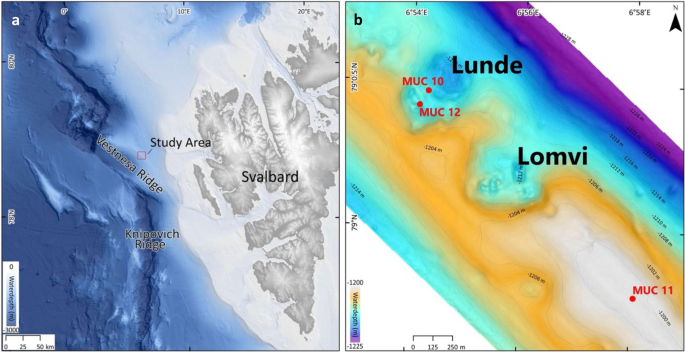 Influence of methane seepage on isotopic signatures in living deep-sea benthic foraminifera, 79° N