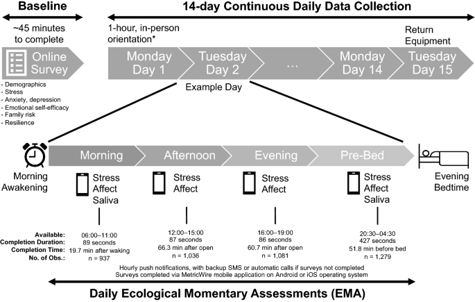 Timeline for online survey completion