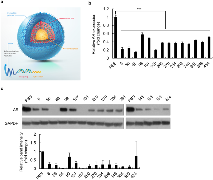 Nanodrug Delivery Strategies to Signaling Pathways in Alopecia