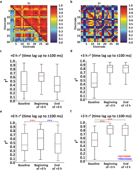 Sensory stimulation-based protection from impending stroke following MCA occlusion is correlated with desynchronization of widespread spontaneous loca