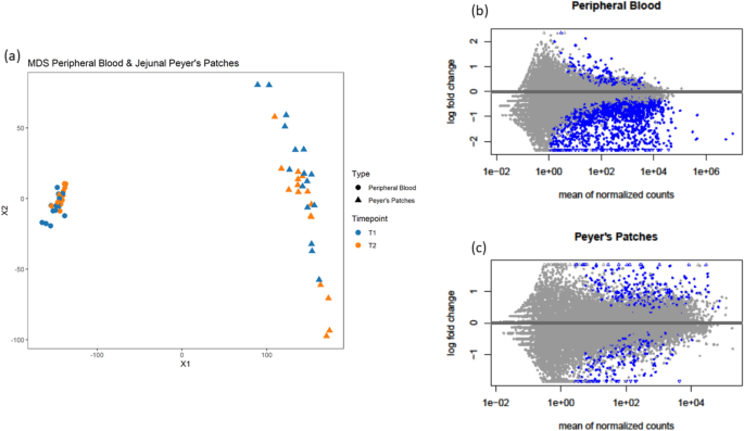 Weaning Differentially Affects The Maturation Of Piglet Peripheral Blood And Jejunal Peyer S Patches Scientific Reports Weaning Differentially Affects The Maturation Of Piglet Peripheral Blood And Jejunal Peyer S Patches Scientific Reports