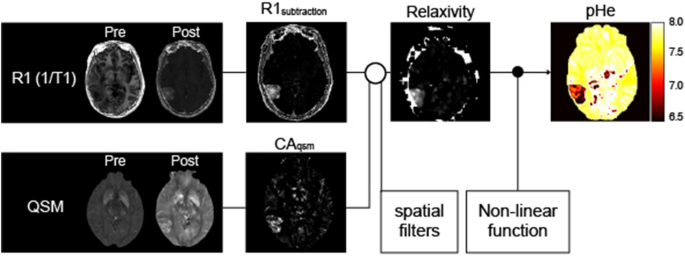Quantitative parameter mapping of contrast agent concentration and  relaxivity and brain tumor extracellular pH | Scientific Reports