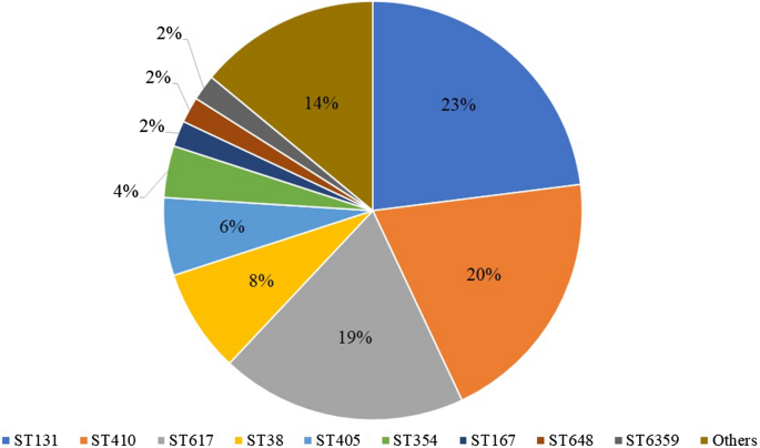 Sequence type diversity and population structure of ESBL-producing