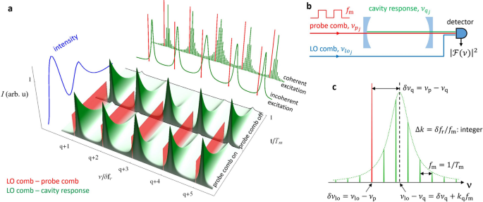 Dual-comb cavity ring-down spectroscopy | Scientific Reports
