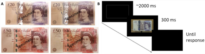 Spotting fake bank notes with butterfly colour – Physics World