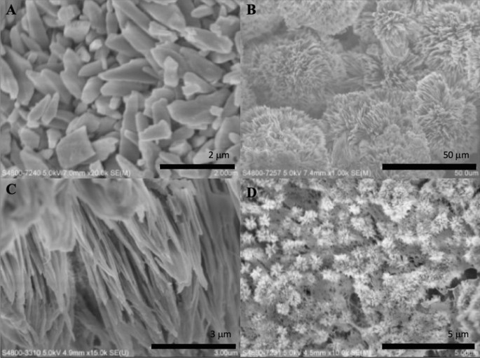 Synthesis of a graphene oxide/agarose/hydroxyapatite biomaterial with the  evaluation of antibacterial activity and initial cell attachment