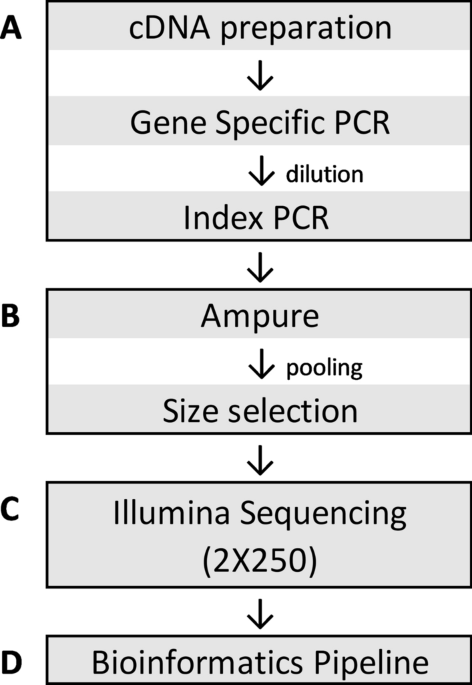 Development and validation of a high throughput SARS-CoV-2 whole genome  sequencing workflow in a clinical laboratory | Scientific Reports