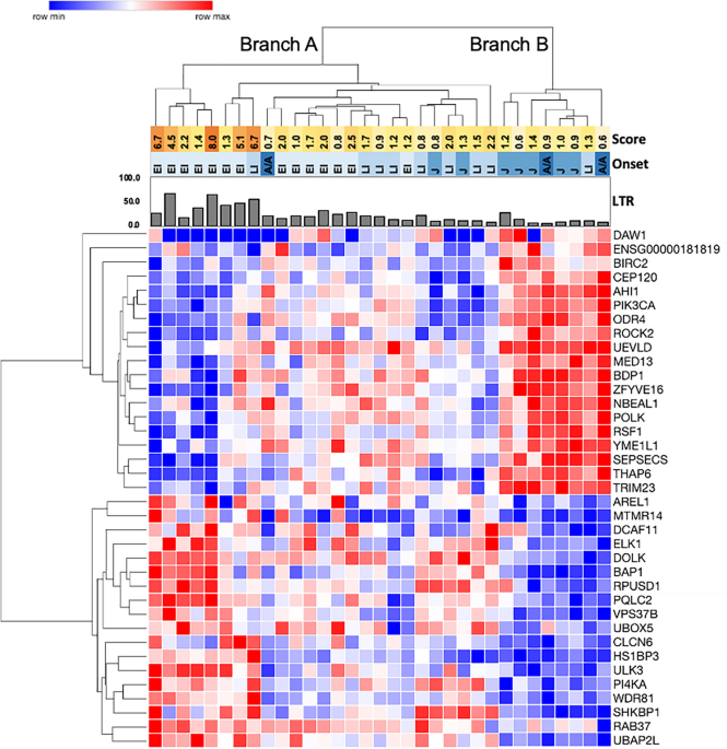 Niemann-Pick disease - Breda Genetics srl Breda Genetics srl