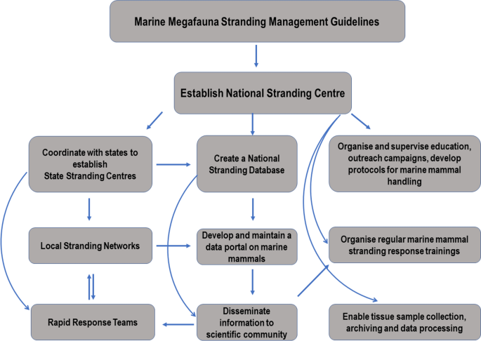 Marine Mammal Stranding Network