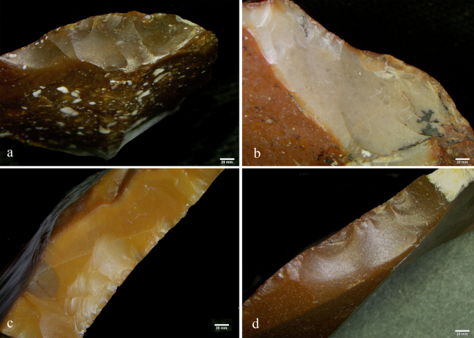 Function, life histories, and biographies of Lower Paleolithic patinated flint  tools from Late Acheulian Revadim, Israel | Scientific Reports