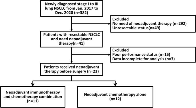 The Impact Of Driver Mutation On The Treatment Outcome Of Early Stage Lung Cancer Patients Receiving Neoadjuvant Immunotherapy And Chemotherapy Scientific Reports