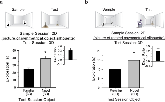 Novel Object Recognition Test 3D