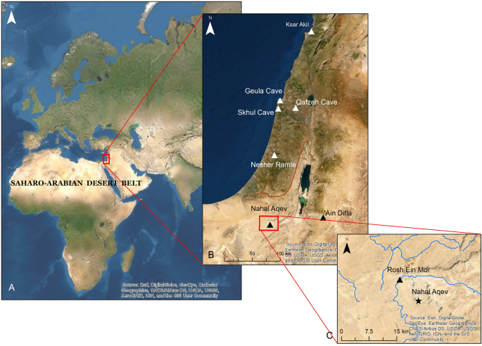 Expansion of eastern Mediterranean Middle Paleolithic into the desert region in early marine isotopic stage 5 | Scientific Reports