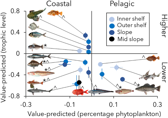 Identifying fisheries operations in tropical multispecies