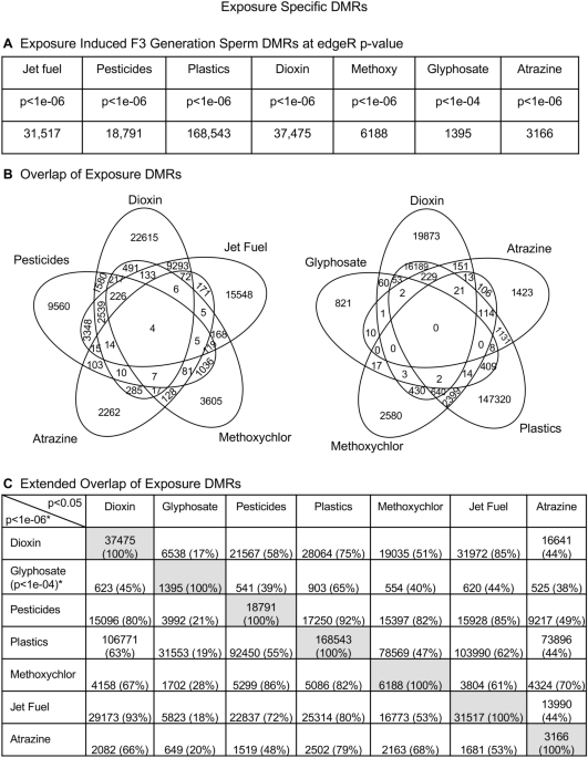 Environmental induced transgenerational inheritance impacts systems epigenetics in disease etiology