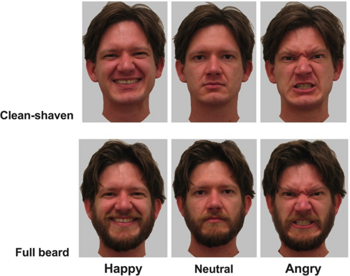 Which Beard Is Right For You?, The Journal