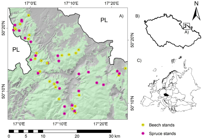 Influence of beech and spruce on potentially toxic elements-related health risk of edible mushrooms growing on unpolluted forest soils