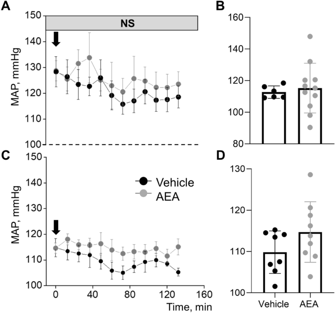 Acute And Long Term Effects Of Cannabinoids On Hypertension And Kidney Injury Scientific Reports