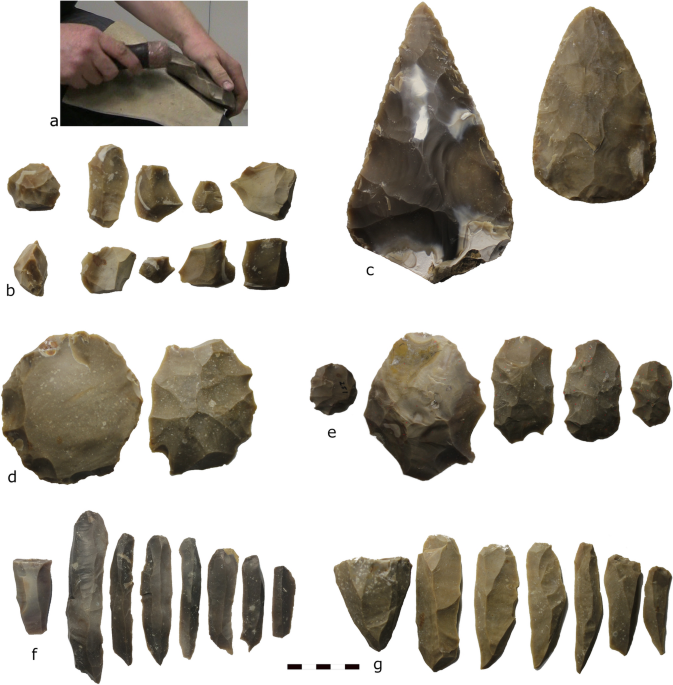 Stone toolmaking difficulty and the evolution of hominin technological  skills | Scientific Reports