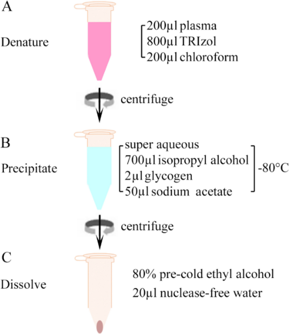 A TRIzol-based method for high recovery of plasma sncRNAs 